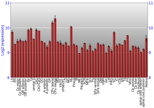 Expression graph