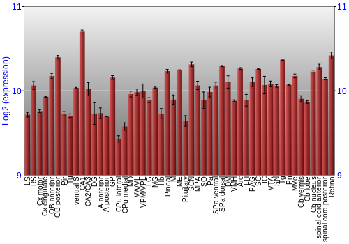 Expression graph