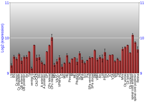 Expression graph