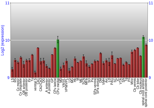 Multi-state expression graph