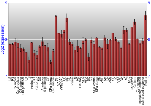 Expression graph
