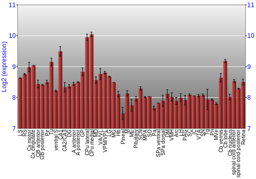 Expression graph