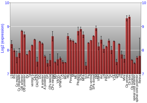Expression graph
