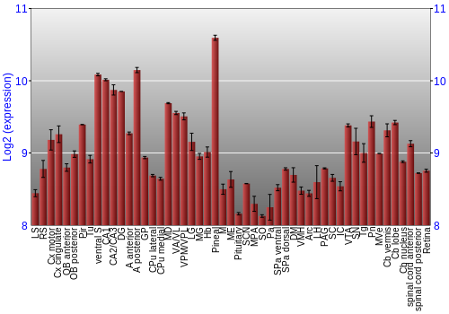 Expression graph