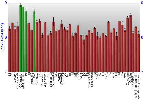 Multi-state expression graph