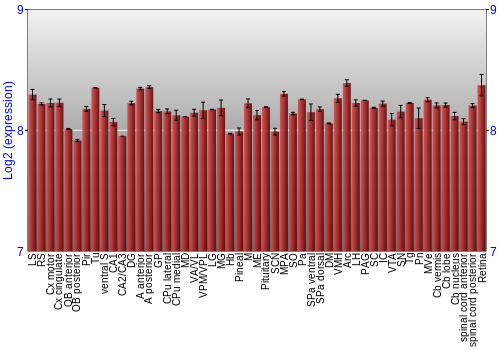 Expression graph