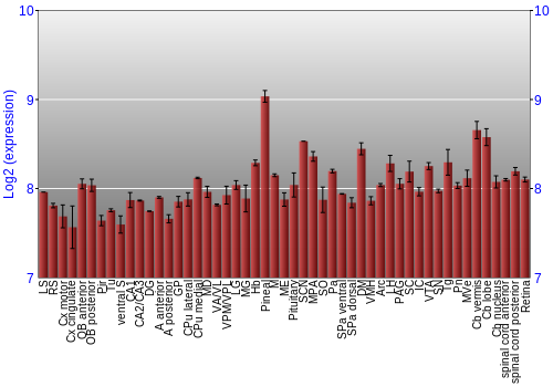 Expression graph