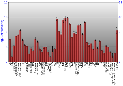 Expression graph