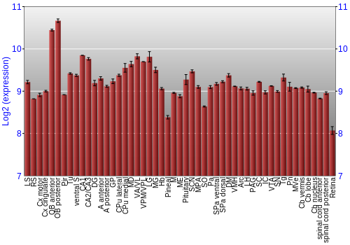 Expression graph