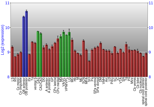 Multi-state expression graph