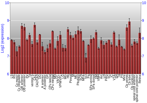 Expression graph