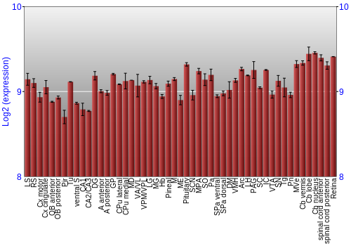 Expression graph