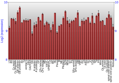 Expression graph