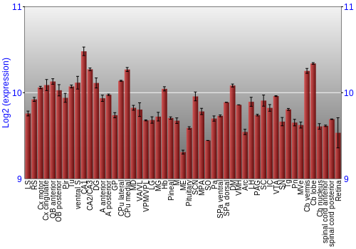 Expression graph