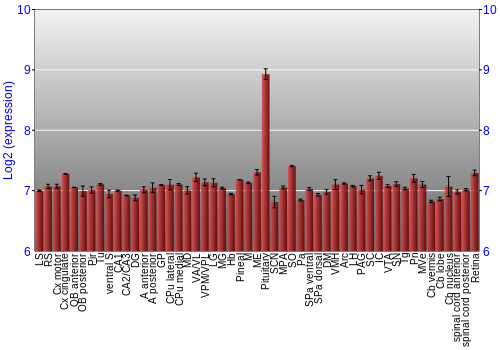 Expression graph