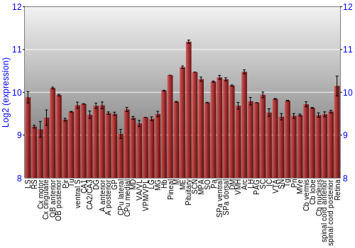 Expression graph