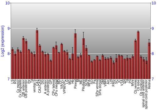 Expression graph