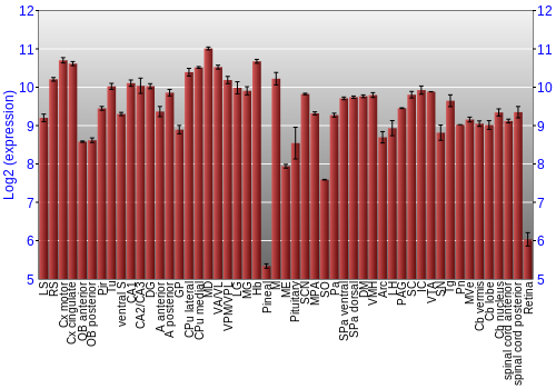Expression graph