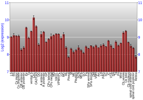 Expression graph