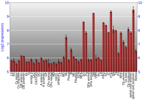 Expression graph