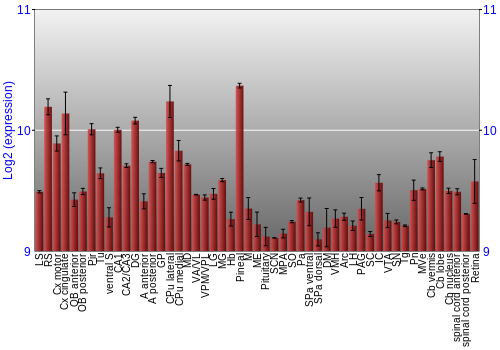 Expression graph
