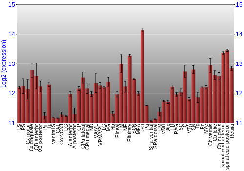 Expression graph