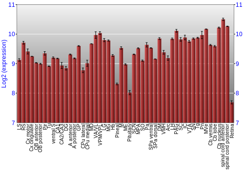Expression graph