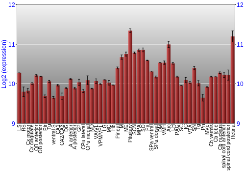 Expression graph