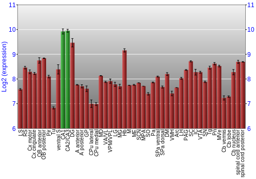 Multi-state expression graph