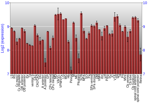 Expression graph