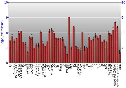 Expression graph