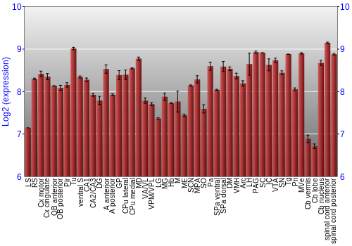 Multi-state expression graph