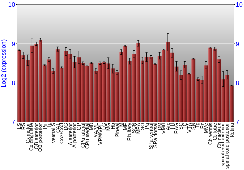 Expression graph