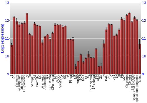 Expression graph