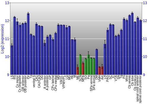 Multi-state expression graph