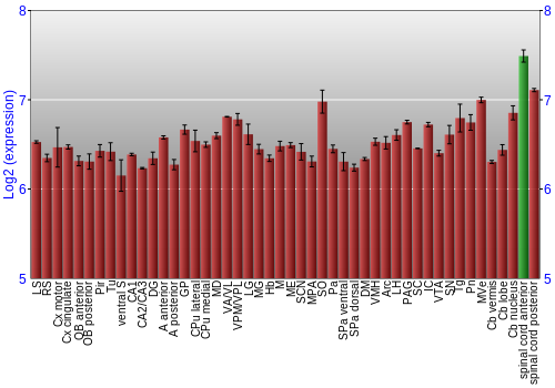 Multi-state expression graph
