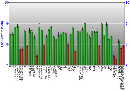 Multi-state expression graph
