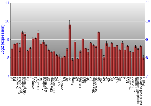 Expression graph