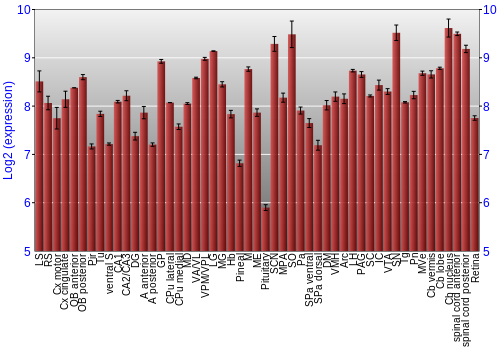 Expression graph