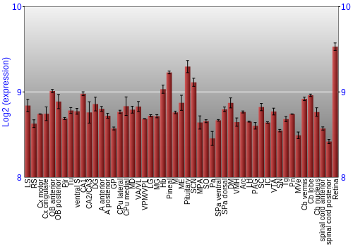 Expression graph