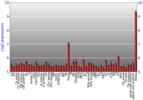 Expression graph