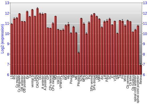 Expression graph