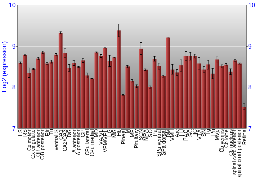 Expression graph