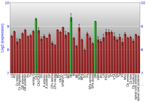 Multi-state expression graph