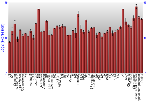 Expression graph