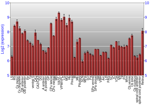 Expression graph