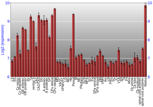Expression graph