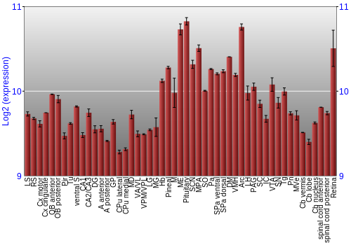 Expression graph