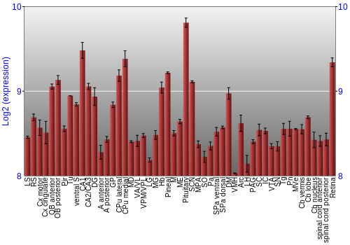 Expression graph
