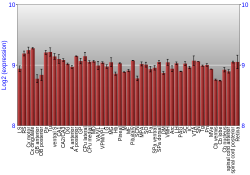Expression graph